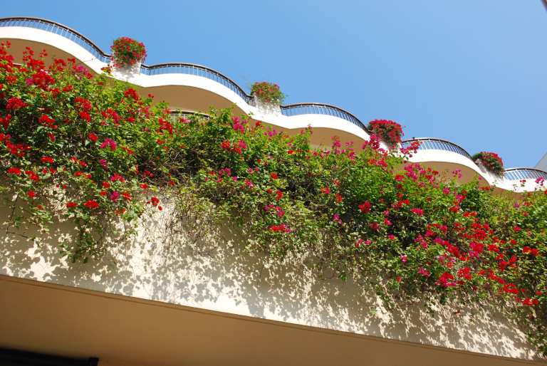 What you see when you look up