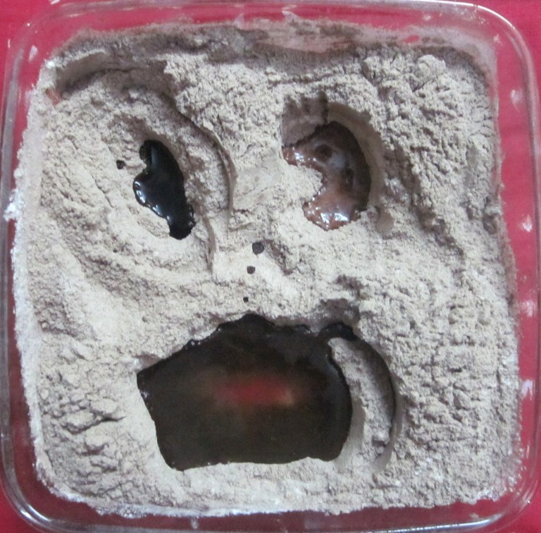 Chocolate cake scary face