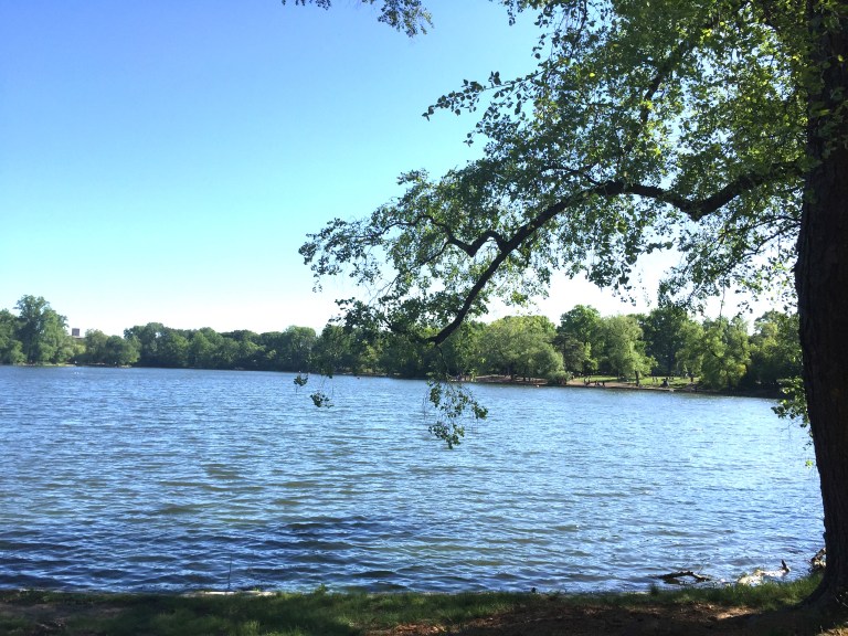 Prospect park lake