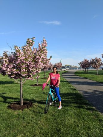 5e18793d-906d-45ec-ad75-7238ead64146